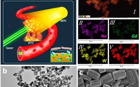 ACS Nano :光热治疗中Gd3+基造影剂氧空位可以显著增强磁共振成像