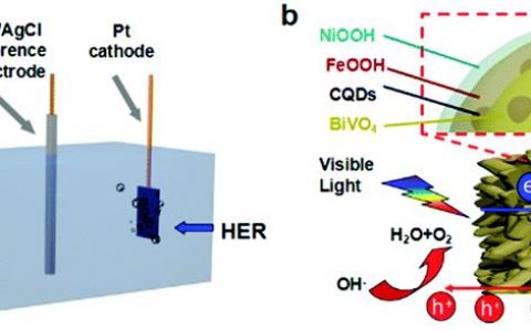 暨南大学EES：利用碳量子点突破钒酸铋基光阳极的光电水分解性能“天花板”