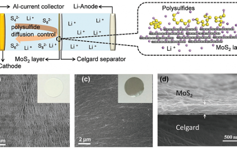 Adv. Mater. 国家纳米科学中心：锂硫电池新隔膜-MoS2/Celgard复合膜