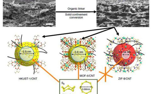 Nature子刊:金属有机物框架和碳纳米管薄层组合的高性能锂硫电池