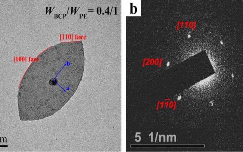 浙江大学Macromolecules: 结晶驱动微米级聚合物混合单晶和纳米级结晶胶束的共组装行为