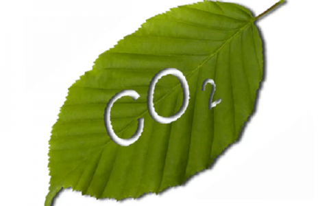 人造光和作用——另类能源再生idea