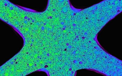 自然的启迪,小草的智慧