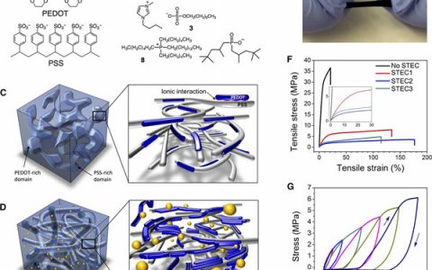 鲍哲南Science Advances:具有高度延展性、透明度的导电聚合物