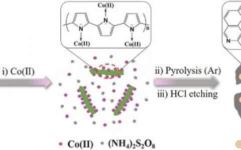 中山大学Adv. Funct. Mater.:掺杂碳包裹镍黄铁矿型硫化钴纳米材料的双功能电解水催化剂