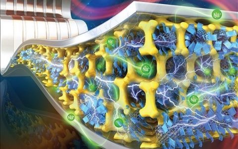AFM封面：超薄二维SnO纳米阵列柔性钠离子电池及其合金化赝电容效应