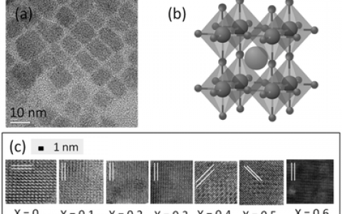 Adv. Mater. :基于有机-无机混合阳离子的杂化钙钛矿发光二极管