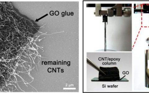 北大ACS Nano:氧化石墨烯胶-电极与碳管导电弹性复合体的构筑