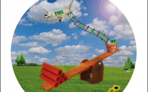 天津大学Angew. Chem. Int. Ed.封面:光电水氧化领域取得新进展-成功制备高温煅烧赤铁矿纳米管阵列