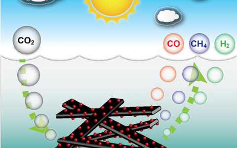 J.B.Goodenough & 俞书宏JACS:碳包覆氧化铟纳米带用于光催化高效还原二氧化碳