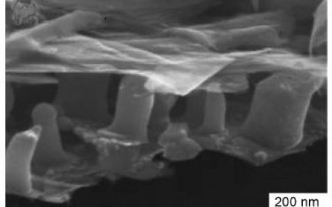 学术干货∣关于锂电池锡-金属-碳复合负极材料，你不得不知的事儿