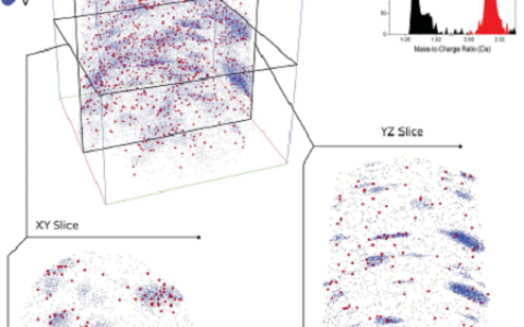 Science重磅:单一氢原子在铁素体氢陷阱中的原子尺度上的三维观察