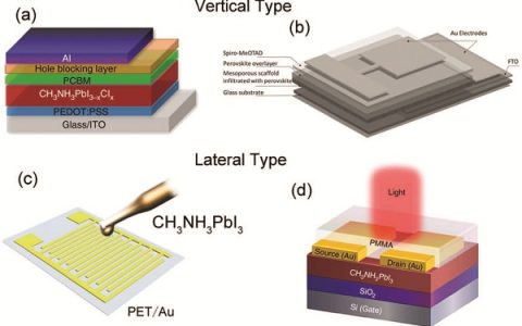 石高全教授AM最新综述:二维材料在卤化物钙钛矿基光电器件中的应用
