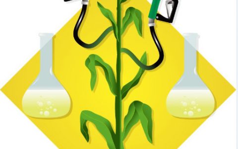 NASA研究认为生物燃料可大幅降低飞机颗粒物排放