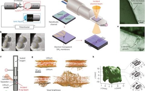 崔屹Nature子刊最新综述:用于高能电池的金属锂负极的复兴!