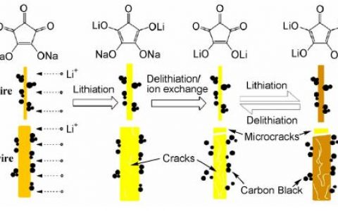 学术干货∣锂电池干货系列之锂离子电池有机正极材料