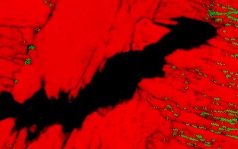 Science重磅:科学家研发人骨结构“超级钢” -再也不用担心疲劳裂纹了