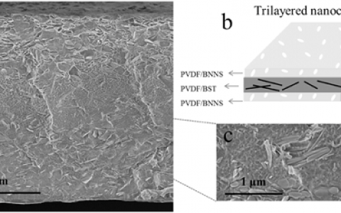 Adv. Funct. Mater.:高能量密度的三明治结构介电有机纳米复合材料