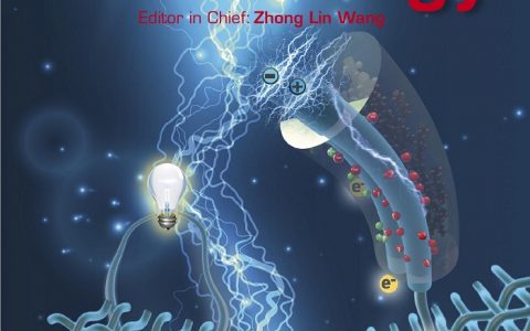 暨南大学Nano Energy封面:可裁剪、高机械稳定性的TiN@C纤维状超级电容器用于未来的智能能源衣物