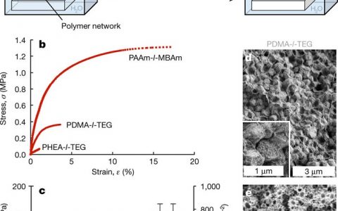 Nature：酶矿化制备具有可调控力学性能的超硬强韧型水凝胶