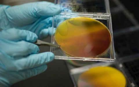 新的材料制作工艺将加速太阳能商业化进程