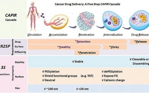 申有青AM最新综述:纳米肿瘤药物的合理设计:纳米特性的整合与同步