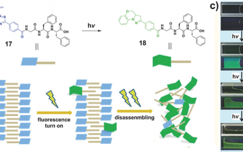 黄飞鹤&吉晓帆AM最新综述：荧光超分子聚合物
