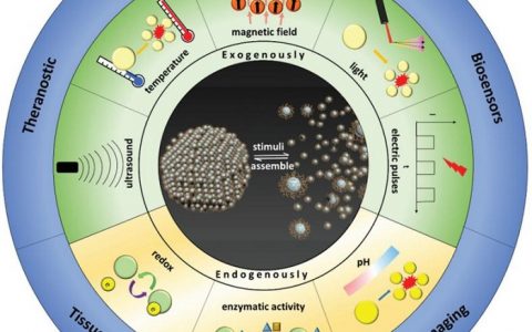 凌代舜AM最新综述: 动态纳米颗粒组装体在生物医学中的应用