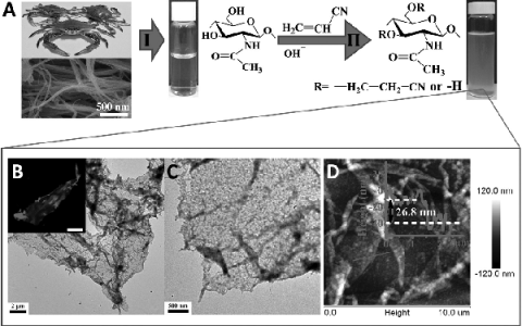 Adv. Mater.:用于生物基电子设备的甲壳素二维软材料