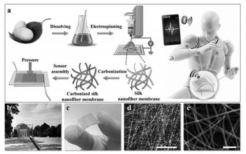 清华大学Adv. Funct. Mater.:用碳化丝纳米纤维薄膜制备电子皮肤