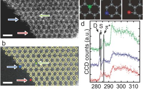 张泽院士AM最新综述：二维材料中的原子缺陷：从单原子光谱到光/电子、纳米磁性和催化中的功能性