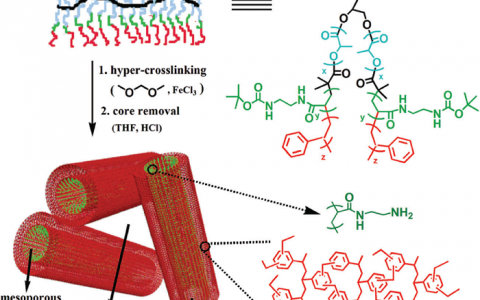谭必恩Chem. Soc. Rev.最新综述：超交联多孔聚合物材料的设计、合成及应用
