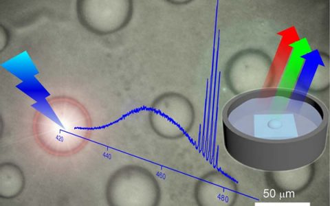 Nano Lett.:基于胶体量子点的稳定回音壁模式微泡激光