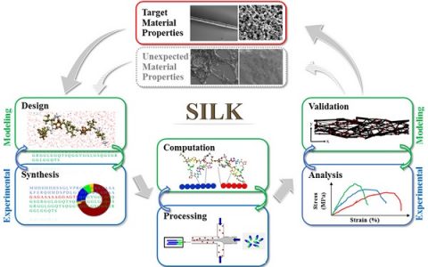 David L. Kaplan教授Acc. Chem. Res. 最新综述:协同整合实验和模拟方法从头设计丝基材料
