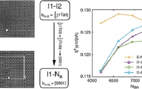 Acta Mater.：关于对镁辐照诱导产生C型位错环的起源和行为研究