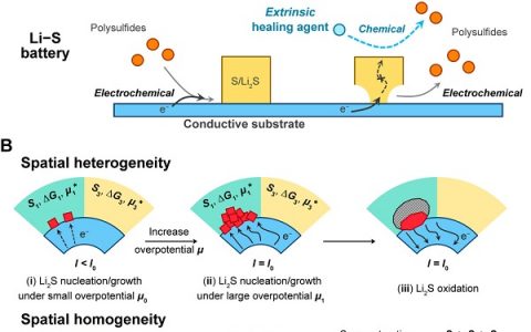 清华大学张强JACS:空间异质性控制使高载荷硫电极具有超长循环性能