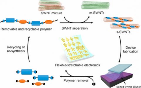 鲍哲楠Acc. Chem. Res. 综述：利用聚合物可移除法对用于柔性和可延展电子器件的半导体碳纳米管进行分离