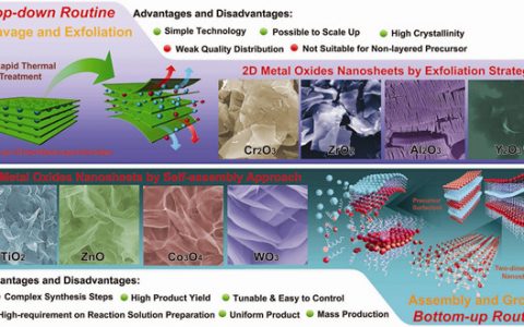 重磅!昆士兰科技大学孙子其课题组AM综述:二维金属氧化物纳米材料用于可充电电池