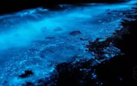 不一样的炫酷！超材料与自然材料的融合：非金属基超常电磁介质【荐书】