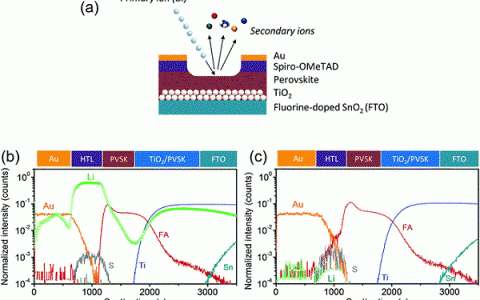 Energy Environ. Sci.：朱开-钙钛矿太阳能电池中的外部离子迁移