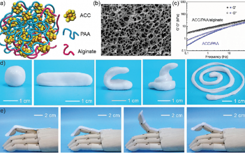 复旦大学Adv. Mater.：一种基于仿生矿物水凝胶的离子皮肤传感器