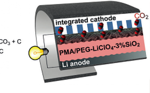 Angew. Chem. Int. Ed.:无液体电解质柔性Li-CO2 电池