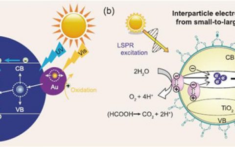 叶金花&刘乐全Natl.Sci.Rev.最新综述：金属纳米材料诱导的可见光催化