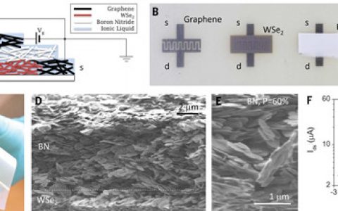 Science:由液相剥离纳米片网络制作的全印刷薄膜晶体管