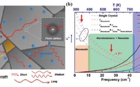 Energ. Environ. Sci.：提高键共价性以弱化载流子-声子耦合，增强BiCuSeO热电性！
