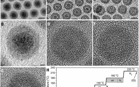 孙玉刚Science：溶液中纳米粒子胶体氧化过程的3D定量形态演化表征