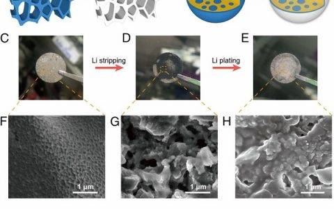 崔屹PNAS: 一种将纳米锂金属嵌入离子型导电固体基质中制备出的三维稳定的锂金属负极