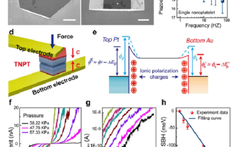 中科院&西电ACS Nano：超高灵敏度ZnO双纳米片垂直压电晶体管
