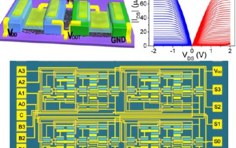 ACS Nano:高性能互补晶体管及基于碳纳米管的中等规模集成电路