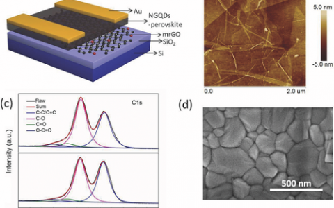 Adv.Mater.:一种湿法加工的高性能光电晶体管-基于钙钛矿/掺杂石墨烯复合材料